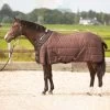 Harry's Horse Highliner Stable Rug, 200g