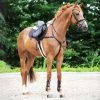 Kavalkade Leyla Breastplate -Sports - Horse Equipment Shop 336864 BL 1