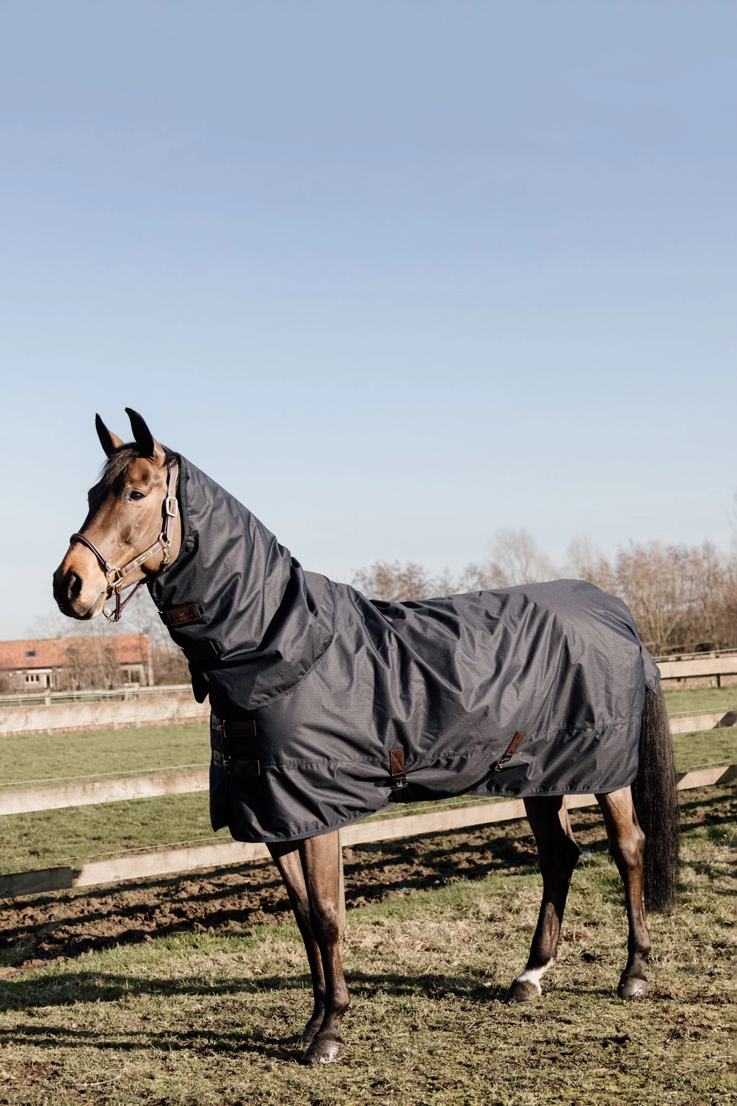 Kentucky Horsewear Pony All Weather Classic Turnout Rug, 150g 4 Kentucky Horsewear Pony All Weather Classic Turnout Rug, 150g - Image 2