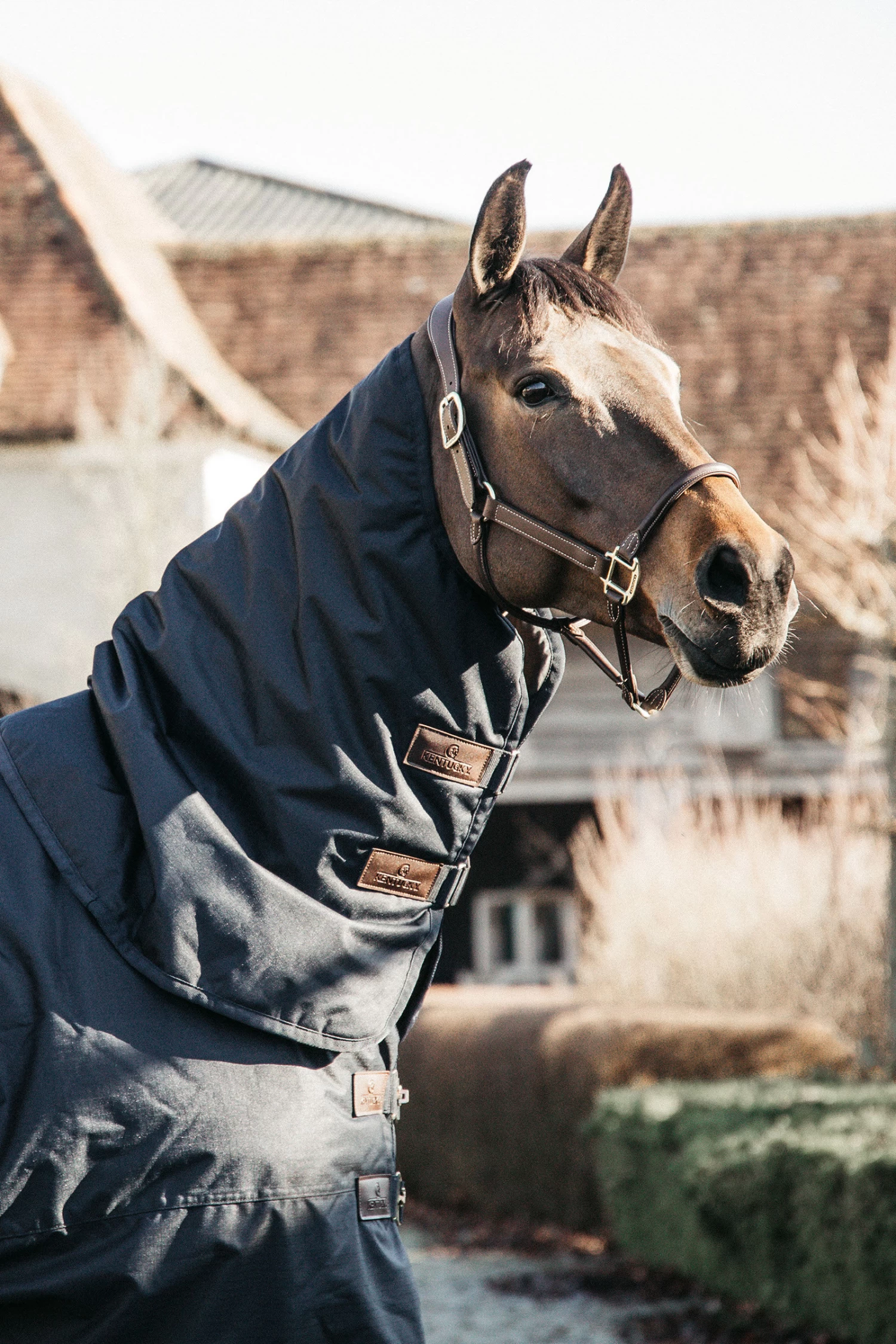 Kentucky Horsewear Pony All Weather Classic Turnout Rug, 150g 5 Kentucky Horsewear Pony All Weather Classic Turnout Rug, 150g - Image 3