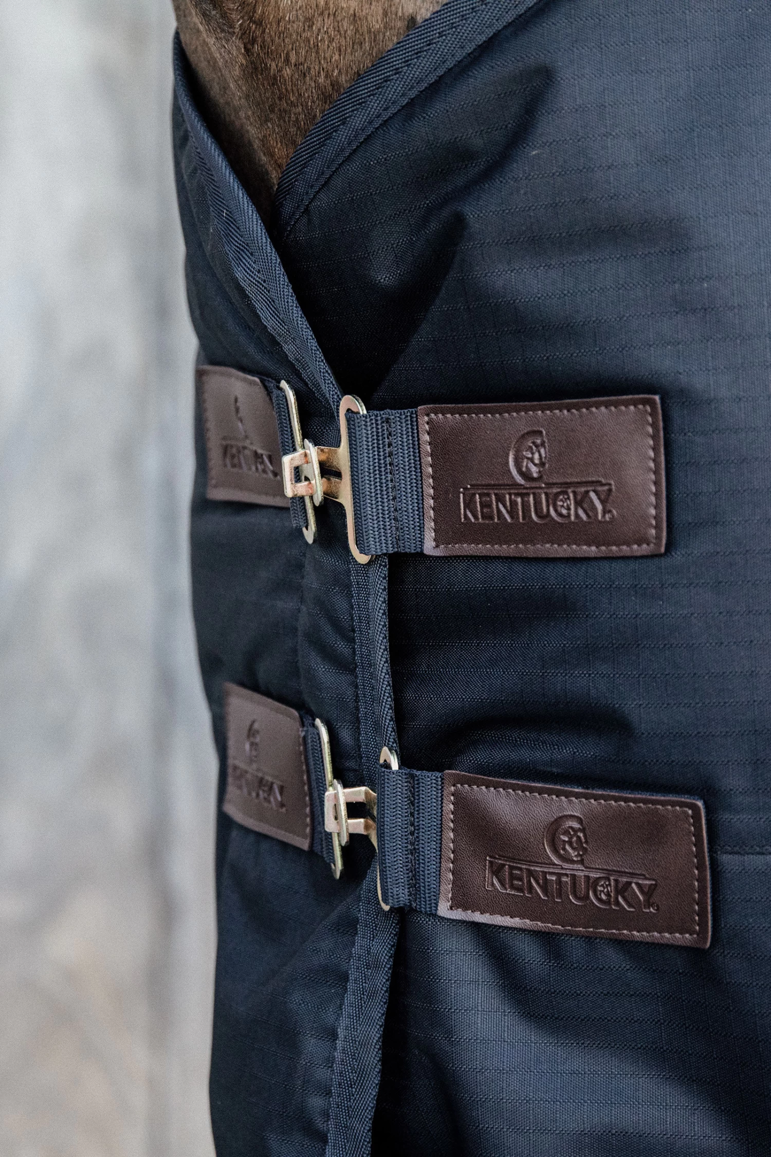 Kentucky Horsewear Pony All Weather Classic Turnout Rug, 150g 6 Kentucky Horsewear Pony All Weather Classic Turnout Rug, 150g - Image 4