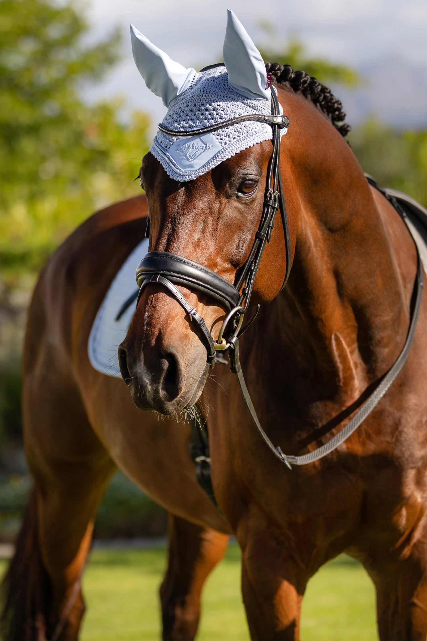 LeMieux Classic Fly Hood 17 LeMieux Classic Fly Hood - Image 16