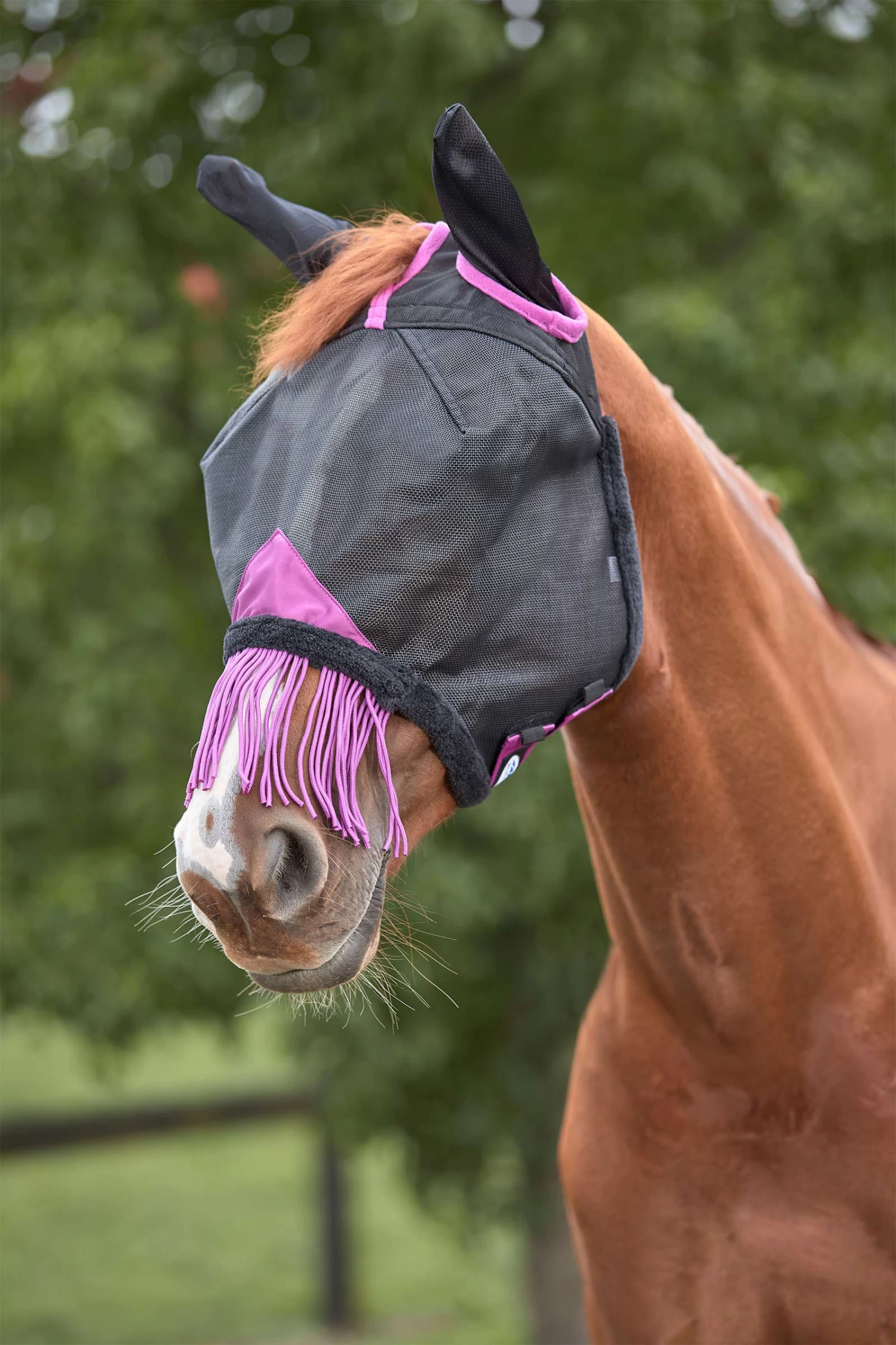 Weatherbeeta Comfitec Deluxe Durable Mesh Mask With Ears And Tassels 3 Weatherbeeta Comfitec Deluxe Durable Mesh Mask With Ears And Tassels