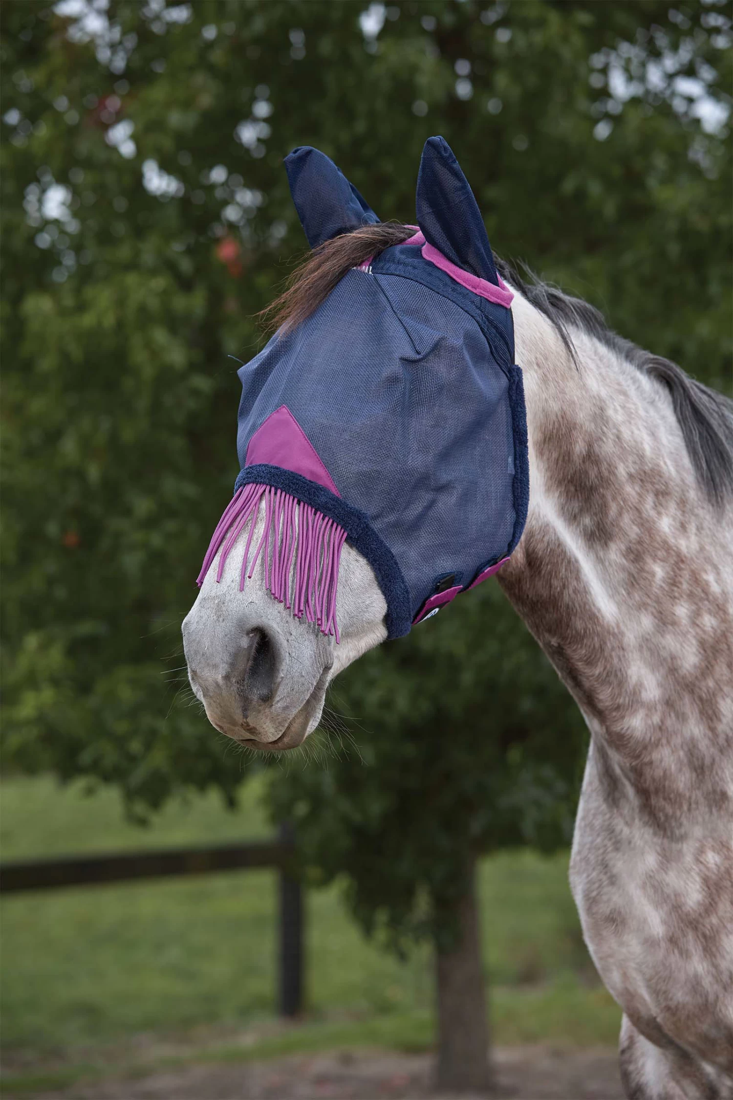 Weatherbeeta Comfitec Deluxe Durable Mesh Mask With Ears And Tassels 4 Weatherbeeta Comfitec Deluxe Durable Mesh Mask With Ears And Tassels - Image 2