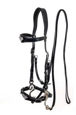 F.R.A. Imperial Hackamore Bridle, Shire