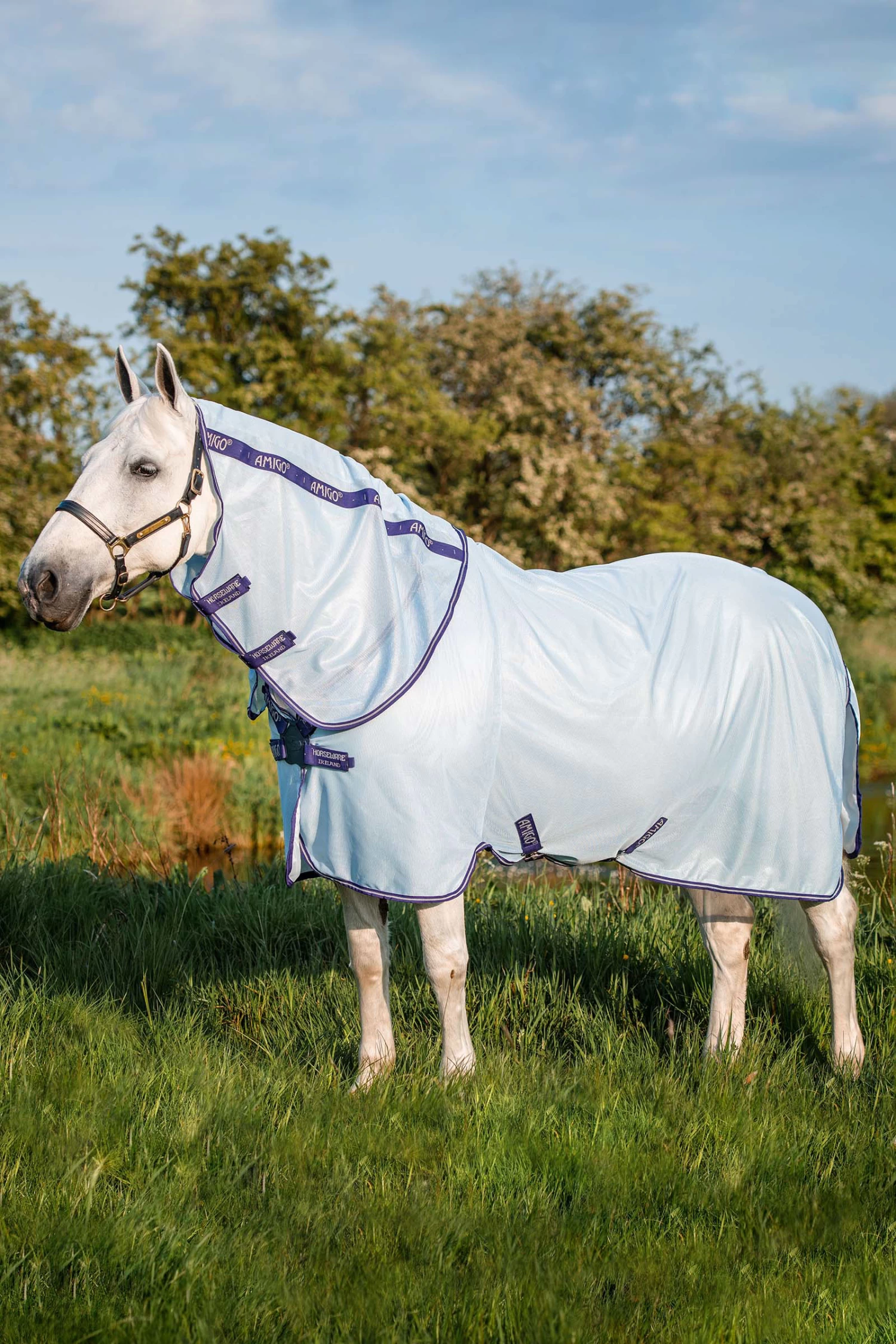 Horseware Amigo XL Bug Rug 3 Horseware Amigo XL Bug Rug