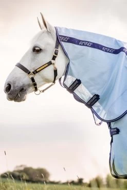 Horseware Amigo XL Bug Rug 10 Horseware Amigo XL Bug Rug -Sports - Horse Equipment Shop 340203 ABB DB 3