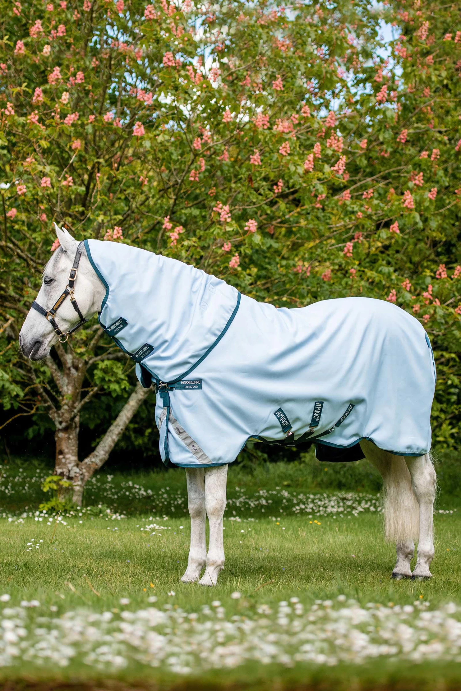 Horseware Amigo Plant Dye Turnout Rug, 50g 3 Horseware Amigo Plant Dye Turnout Rug, 50g