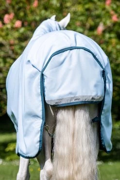 Horseware Amigo Plant Dye Turnout Rug, 50g 11 Horseware Amigo Plant Dye Turnout Rug, 50g -Sports - Horse Equipment Shop 340224 B DB 4