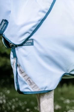 Horseware Amigo Plant Dye Turnout Rug, 50g 13 Horseware Amigo Plant Dye Turnout Rug, 50g -Sports - Horse Equipment Shop 340224 B DB 6