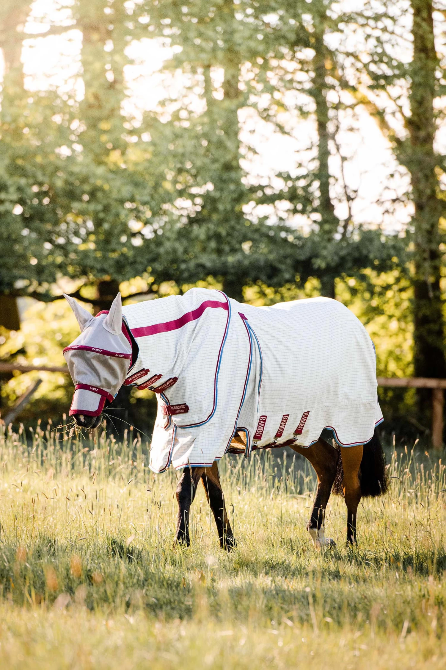 Horseware Rambo Optimo Supreme Summer Sheet 4 Horseware Rambo Optimo Supreme Summer Sheet - Image 2