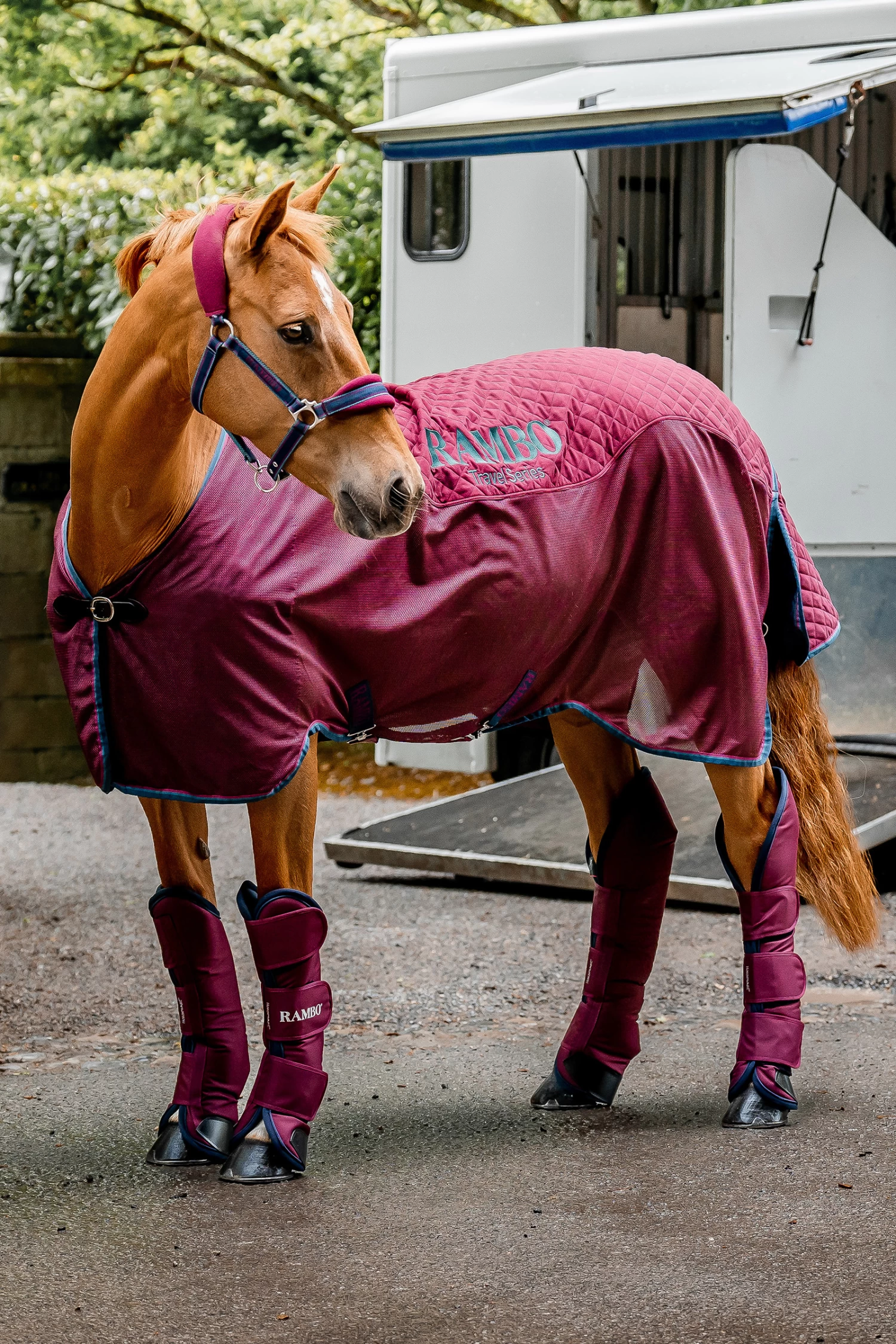 Horseware Rambo Travel Series, 50g 9 Horseware Rambo Travel Series, 50g - Image 7