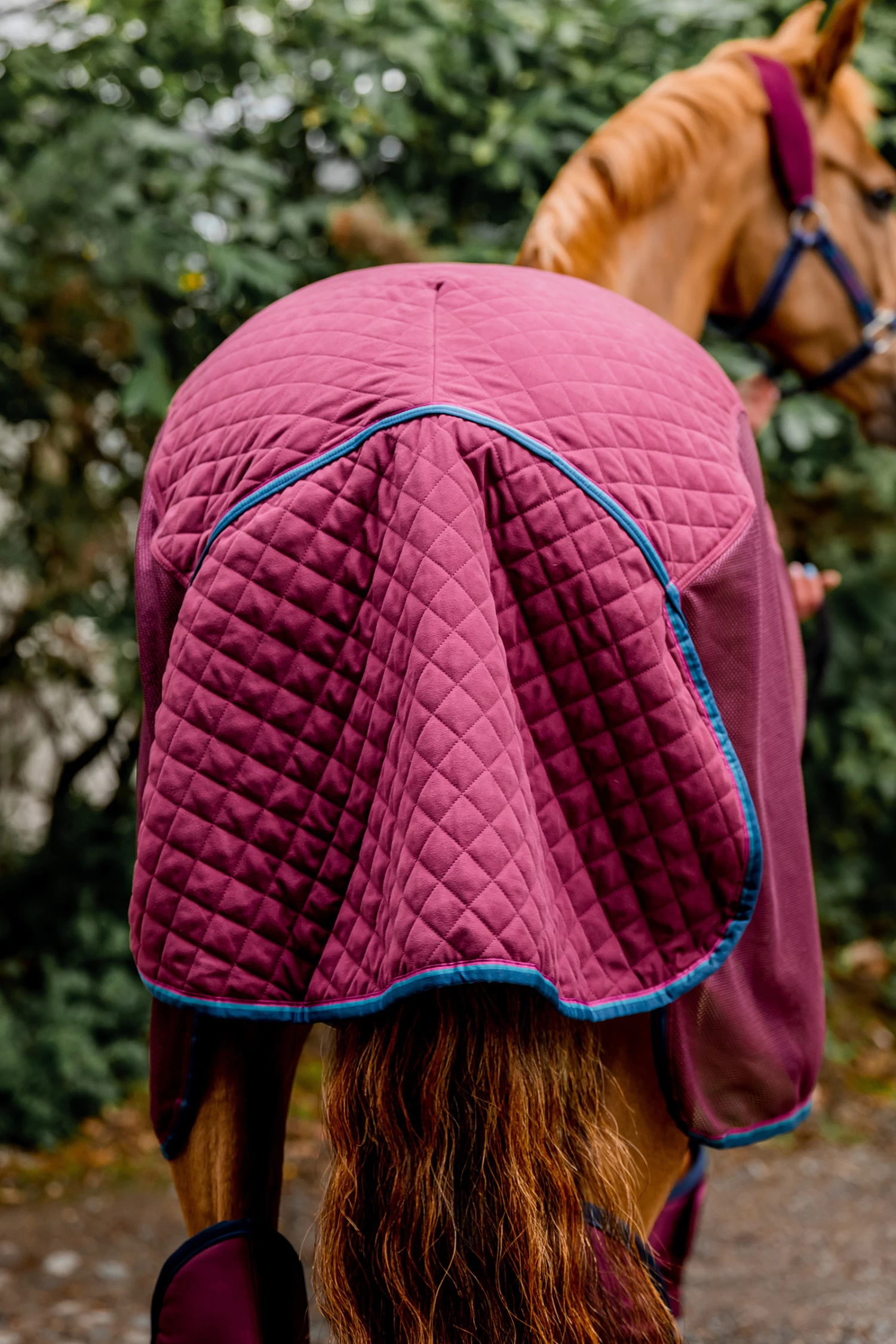 Horseware Rambo Travel Series, 50g 11 Horseware Rambo Travel Series, 50g - Image 9