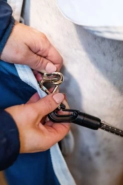 Horseware AmEco Liner, 100g -Sports - Horse Equipment Shop 340947 TE G 7