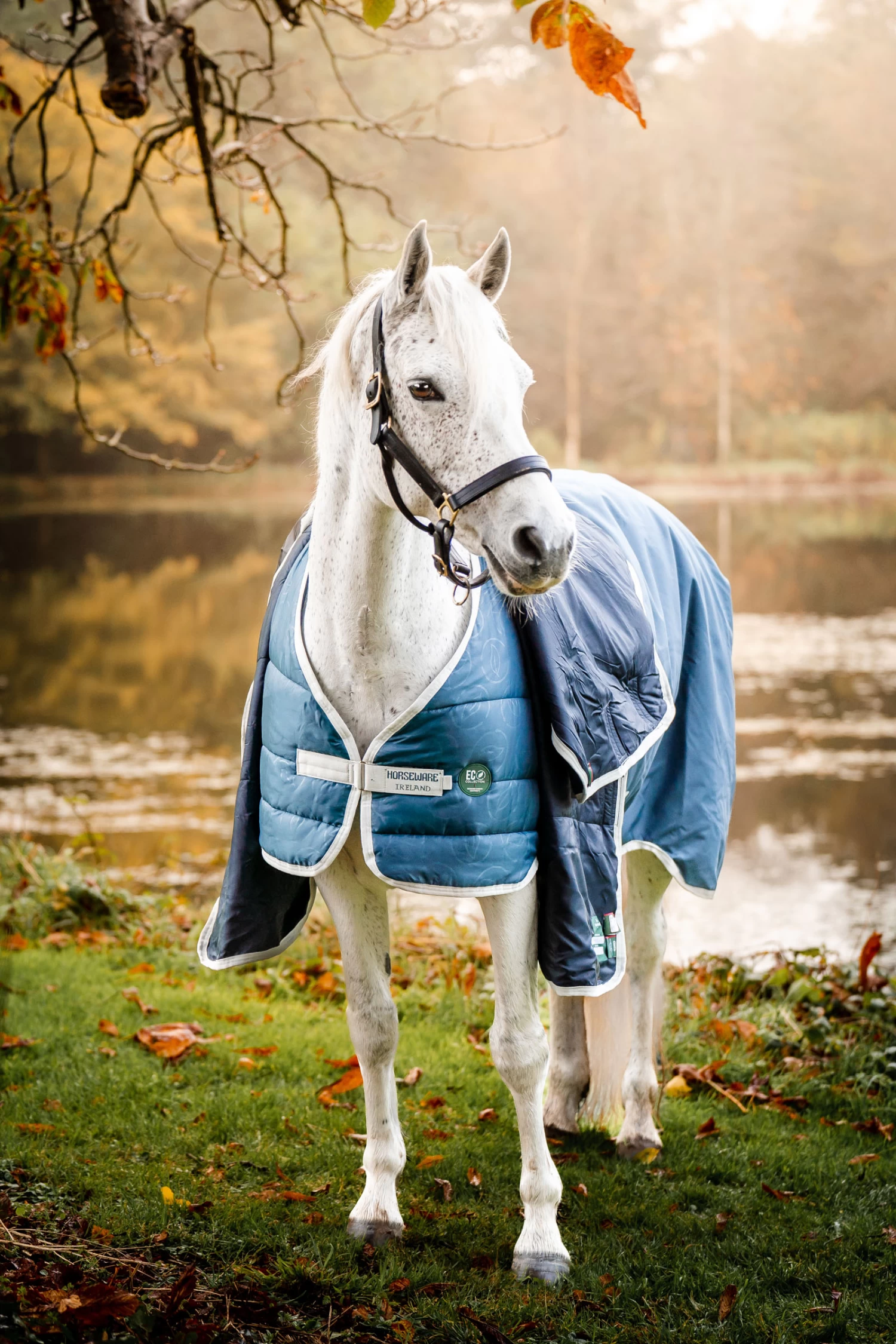 Horseware Eco Liner, 300g 4 Horseware Eco Liner, 300g - Image 2