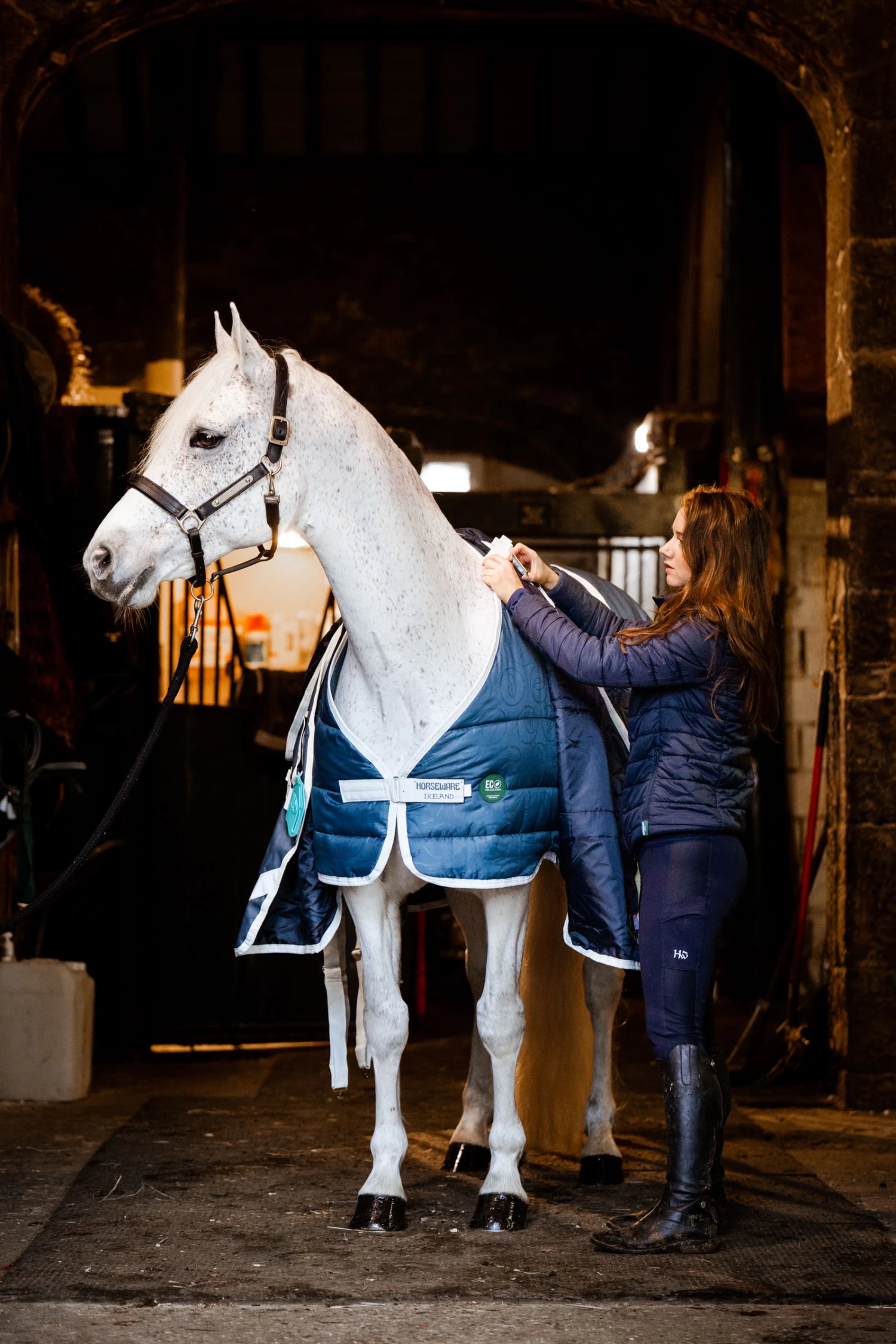 Horseware Eco Liner, 300g 5 Horseware Eco Liner, 300g - Image 3