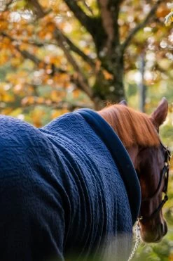 Horseware Embossed Cosy Neck Cooler 15 Horseware Embossed Cosy Neck Cooler -Sports - Horse Equipment Shop 340951 DB BU 7