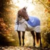 Horseware Rambo Autumn Series 1 Horseware Rambo Autumn Series -Sports - Horse Equipment Shop 340954 DB G 1