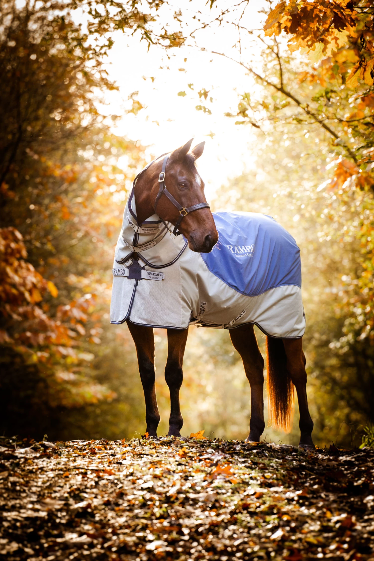 Horseware Rambo Autumn Series 3 Horseware Rambo Autumn Series