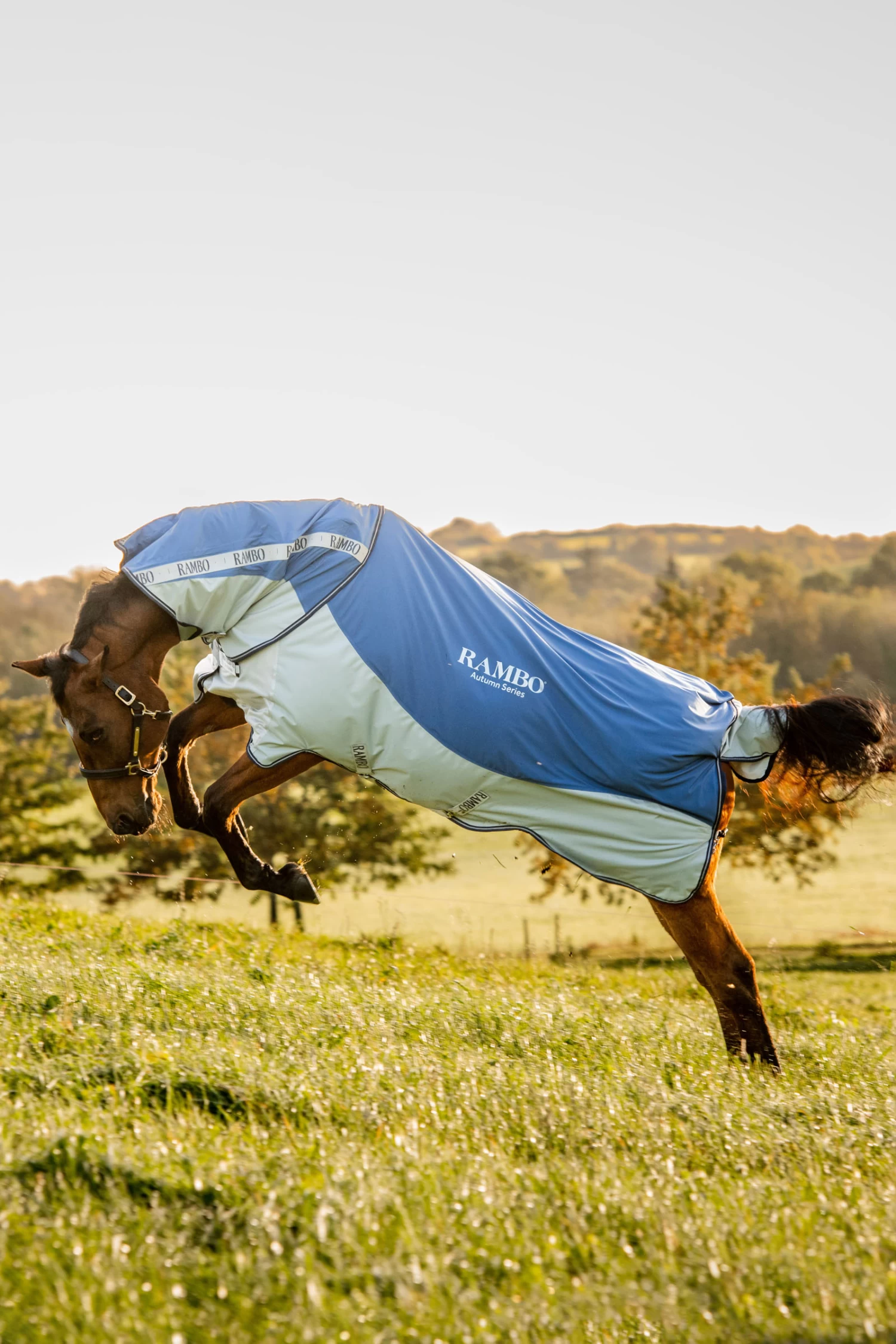 Horseware Rambo Autumn Series 8 Horseware Rambo Autumn Series - Image 6