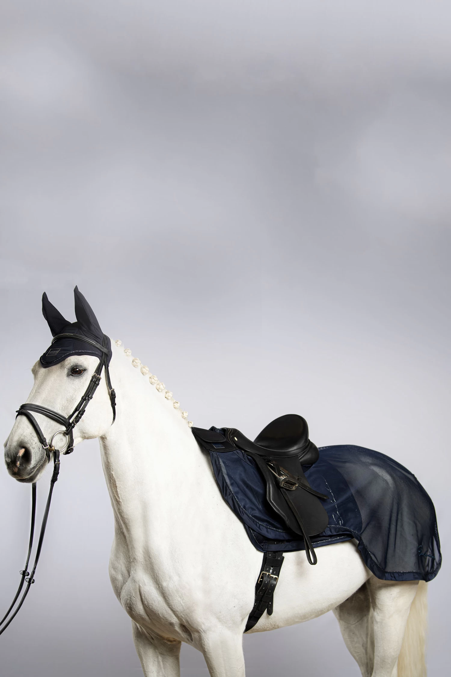 Eskadron Classic Sports SS22 Fly Exercise Exercise Sheet 4 Eskadron Classic Sports SS22 Fly Exercise Exercise Sheet - Image 2