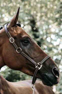 Kentucky Horsewear Flexible Leather Halter Neck Piece -Sports - Horse Equipment Shop 341255 BR 3
