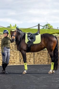 LeMieux Classic Polo Bandages -Sports - Horse Equipment Shop 342145 SLGR 02