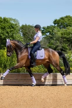 LeMieux Classic Polo Bandages -Sports - Horse Equipment Shop 342145 WLPU 02