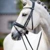 LeMieux Classic Dressage Bridle -Sports - Horse Equipment Shop 342209 BL 1