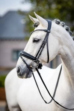 LeMieux Classic Dressage Bridle