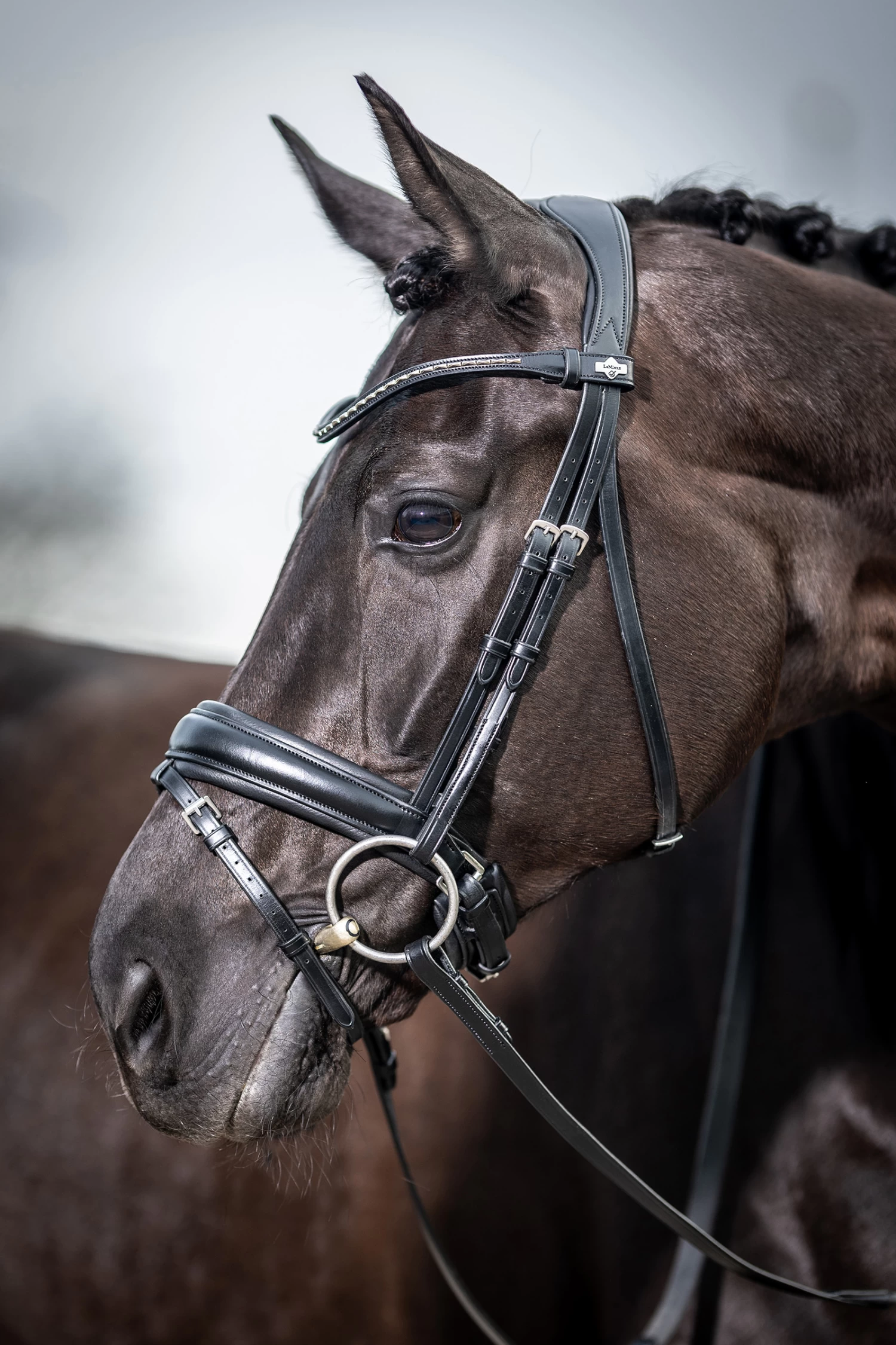 LeMieux Classic Dressage Bridle 5 LeMieux Classic Dressage Bridle - Image 3