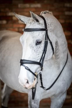 LeMieux Competiton Flash Bridle