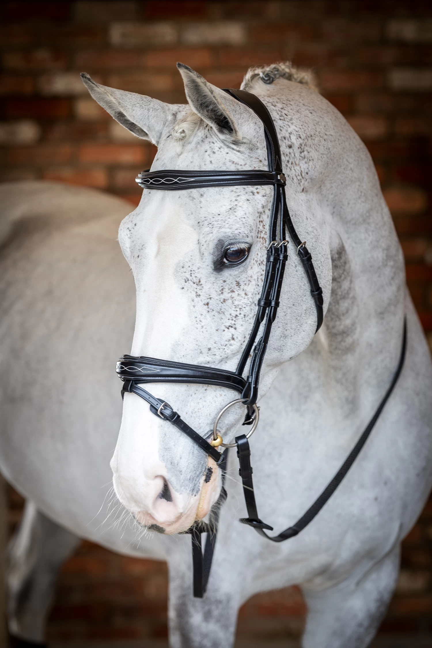 LeMieux Competiton Flash Bridle 3 LeMieux Competiton Flash Bridle