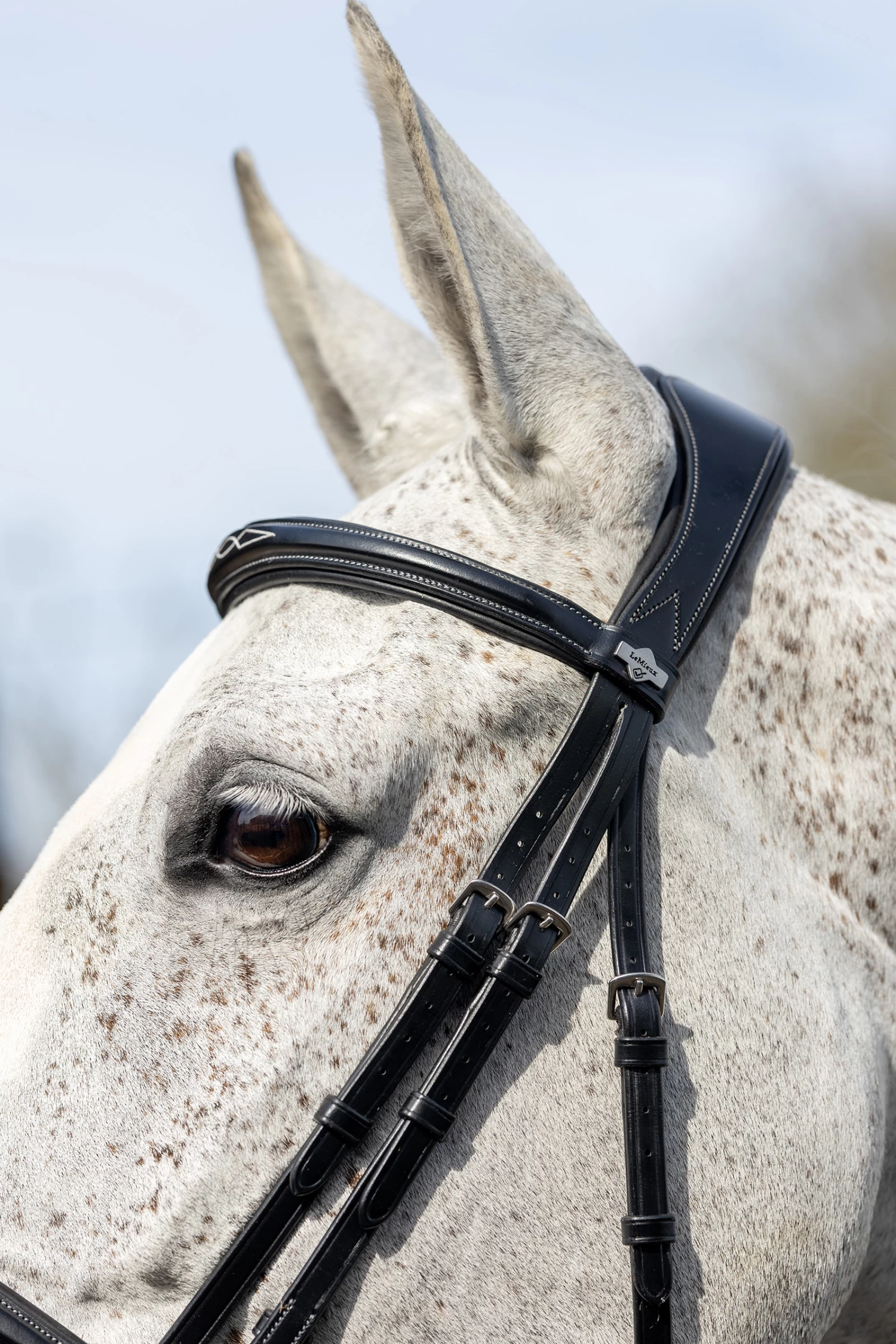 LeMieux Competiton Flash Bridle 5 LeMieux Competiton Flash Bridle - Image 3