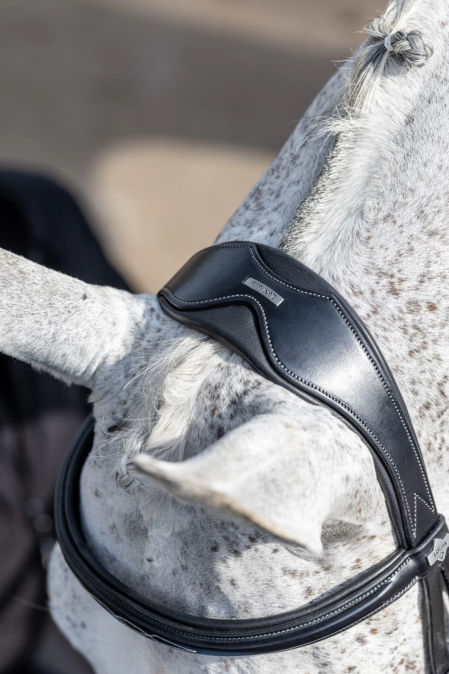 LeMieux Competiton Flash Bridle 6 LeMieux Competiton Flash Bridle - Image 4