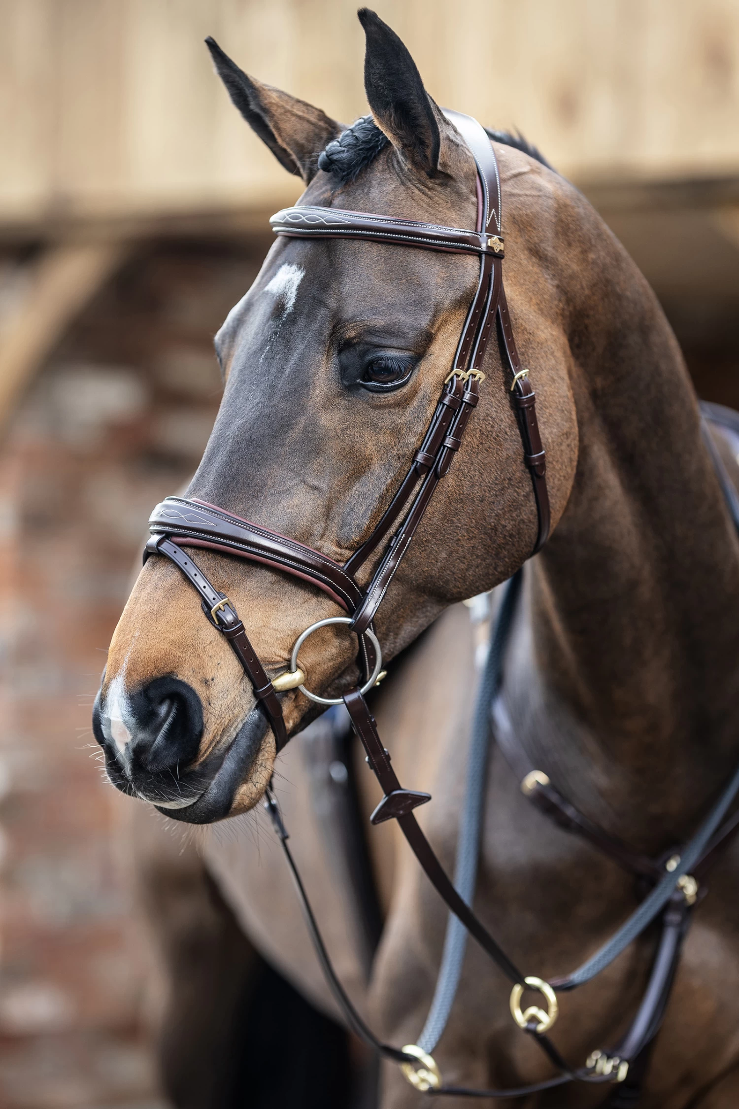 LeMieux Competiton Flash Bridle 7 LeMieux Competiton Flash Bridle - Image 5