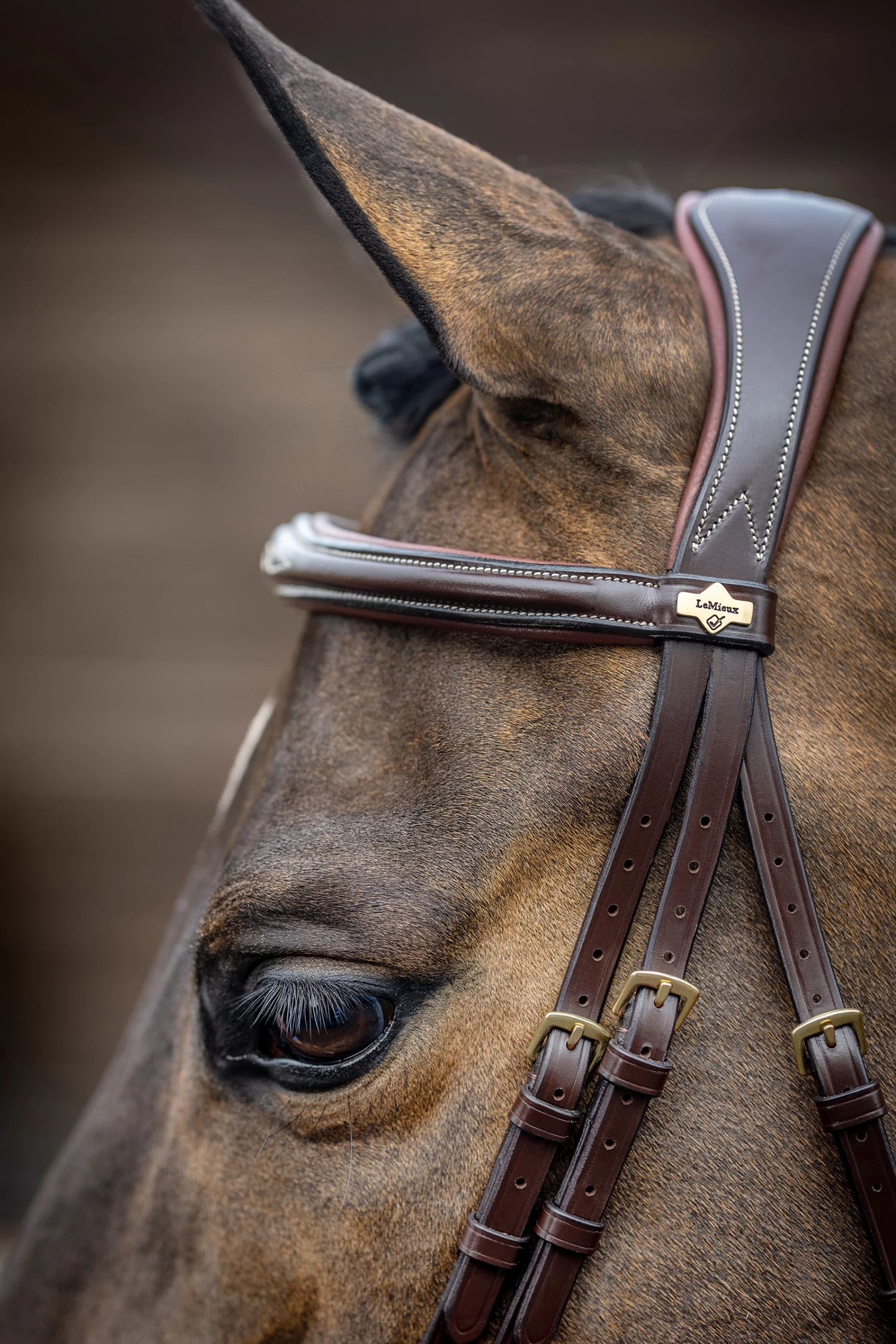 LeMieux Competiton Flash Bridle 10 LeMieux Competiton Flash Bridle - Image 8