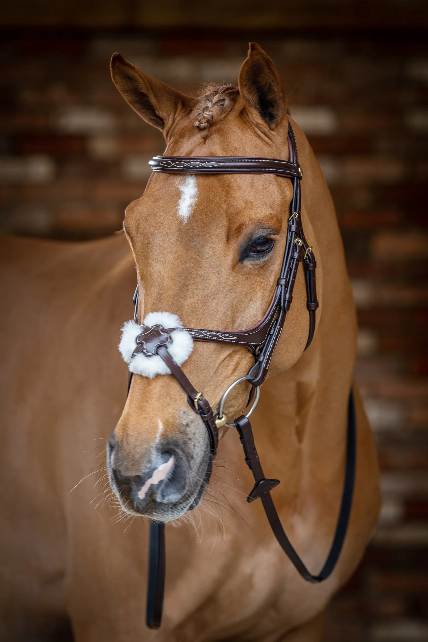 LeMieux Grackle Bridle 6 LeMieux Grackle Bridle - Image 4
