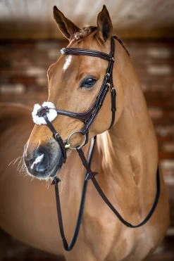 LeMieux Grackle Bridle 14 LeMieux Grackle Bridle -Sports - Horse Equipment Shop 342214 HVBR 2