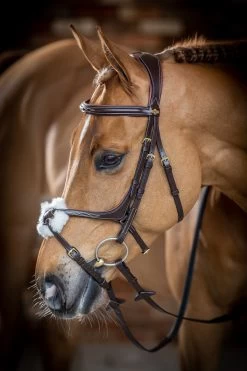 LeMieux Grackle Bridle 15 LeMieux Grackle Bridle -Sports - Horse Equipment Shop 342214 HVBR 3