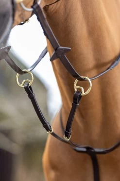 LeMieux Running Martingale