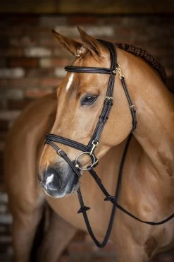LeMieux Work Bridle -Sports - Horse Equipment Shop 342236 BR 1