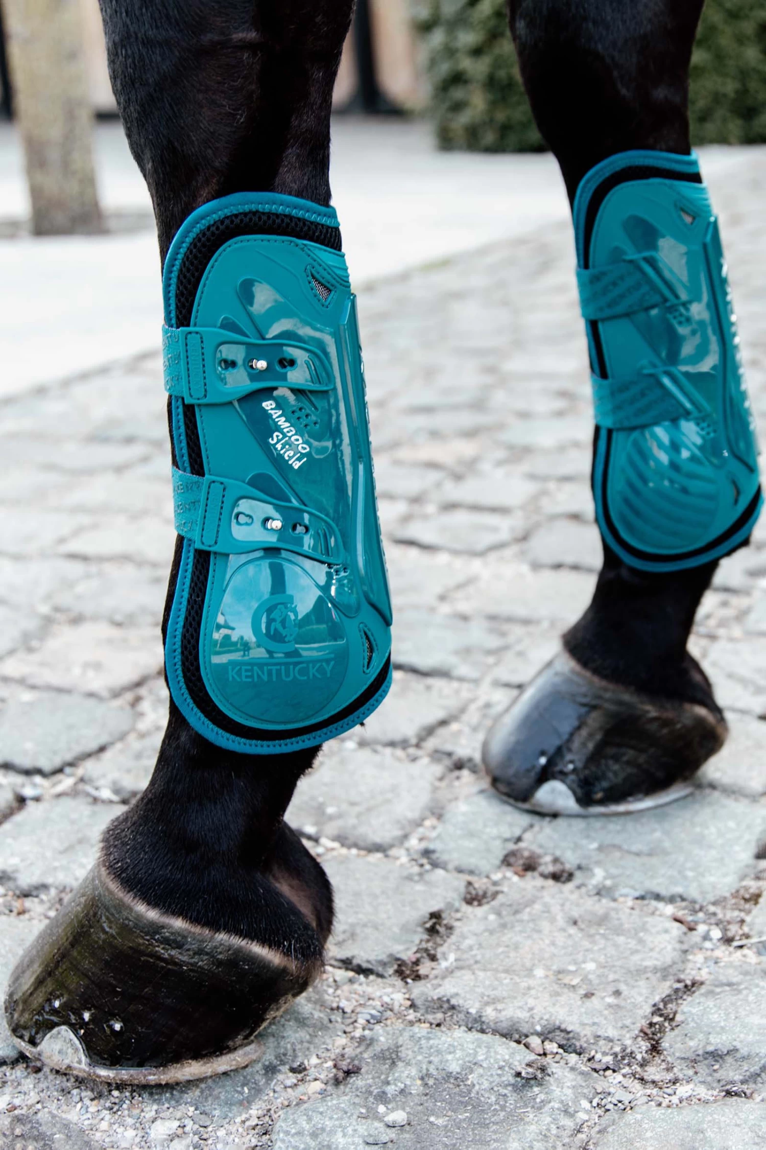 Kentucky Horsewear Bamboo Elastik Boots 16 Kentucky Horsewear Bamboo Elastik Boots - Image 14