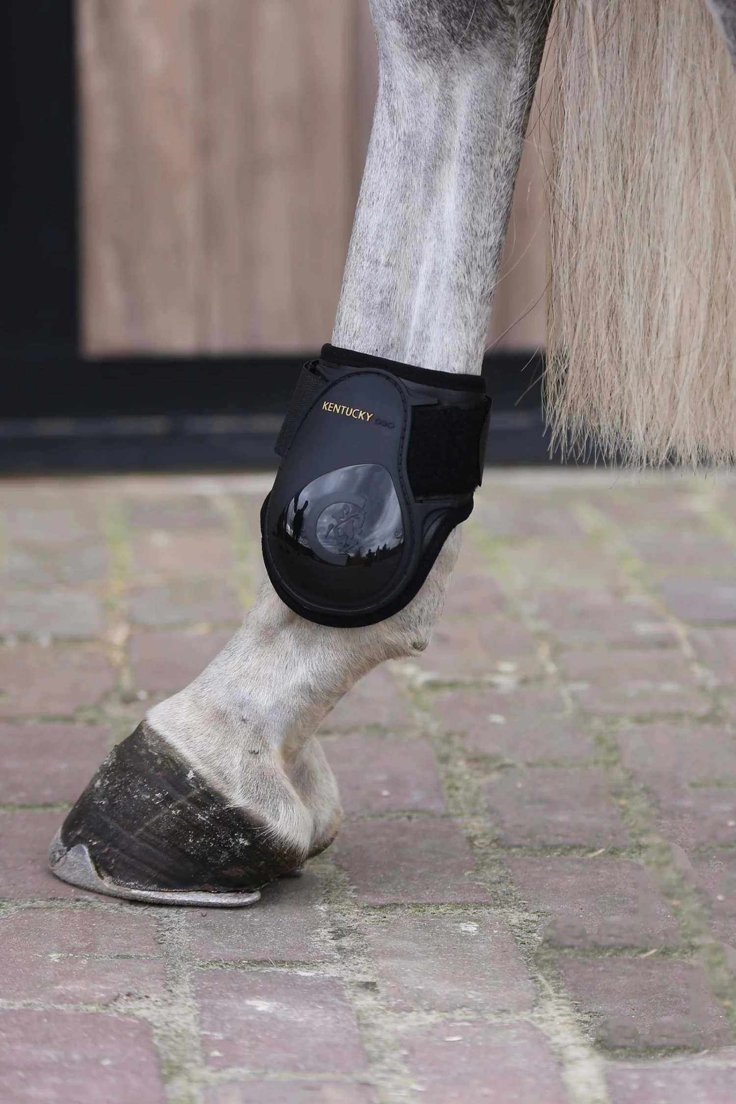 Kentucky Horsewear Young Horse Fetlock Boots 4 Kentucky Horsewear Young Horse Fetlock Boots - Image 2