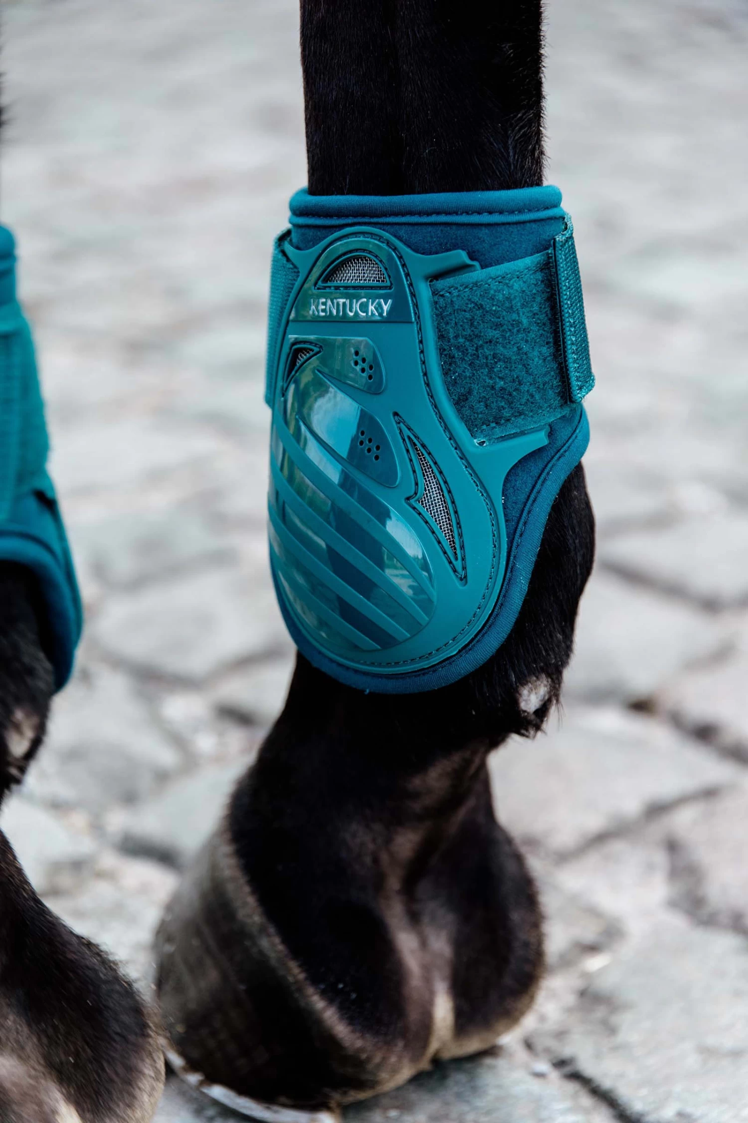 Kentucky Horsewear Young Horse Fetlock Boots 10 Kentucky Horsewear Young Horse Fetlock Boots - Image 8