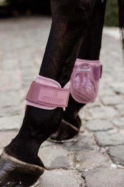 Kentucky Horsewear Young Horse Fetlock Boots 25 Kentucky Horsewear Young Horse Fetlock Boots -Sports - Horse Equipment Shop 342513 ORPI 3