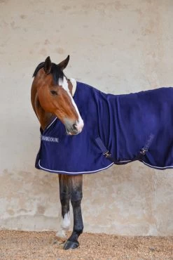 Harcour Cancale Cooler -Sports - Horse Equipment Shop 342514 DB 5