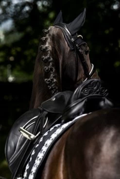 Eskadron Essence 22/23 Big Square Glossy Dressge Saddle Pad 14 Eskadron Essence 22/23 Big Square Glossy Dressge Saddle Pad -Sports - Horse Equipment Shop 342542 BL WH LOGR 3