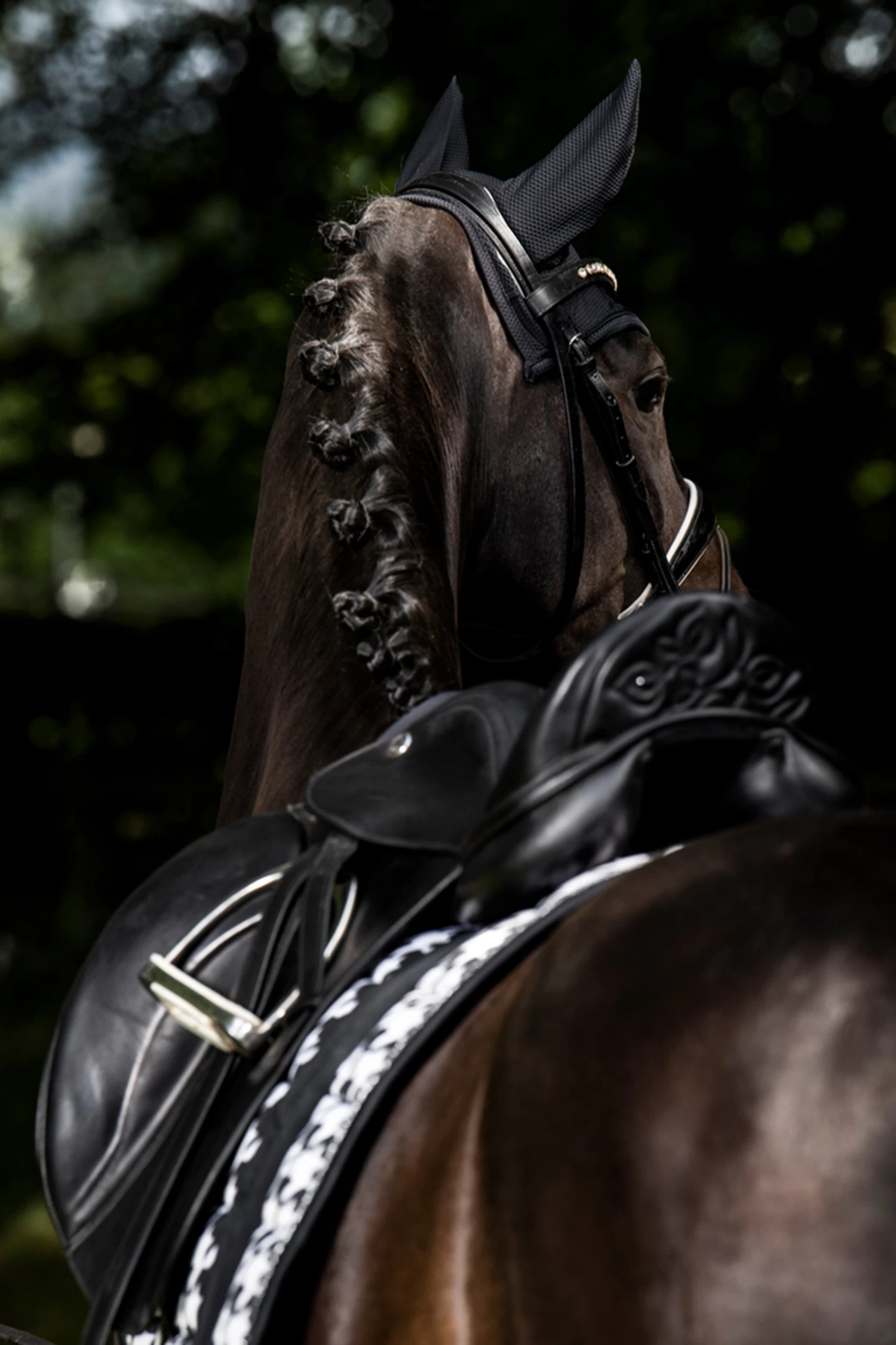 Eskadron Essence 22/23 Big Square Glossy Dressge Saddle Pad 5 Eskadron Essence 22/23 Big Square Glossy Dressge Saddle Pad - Image 3