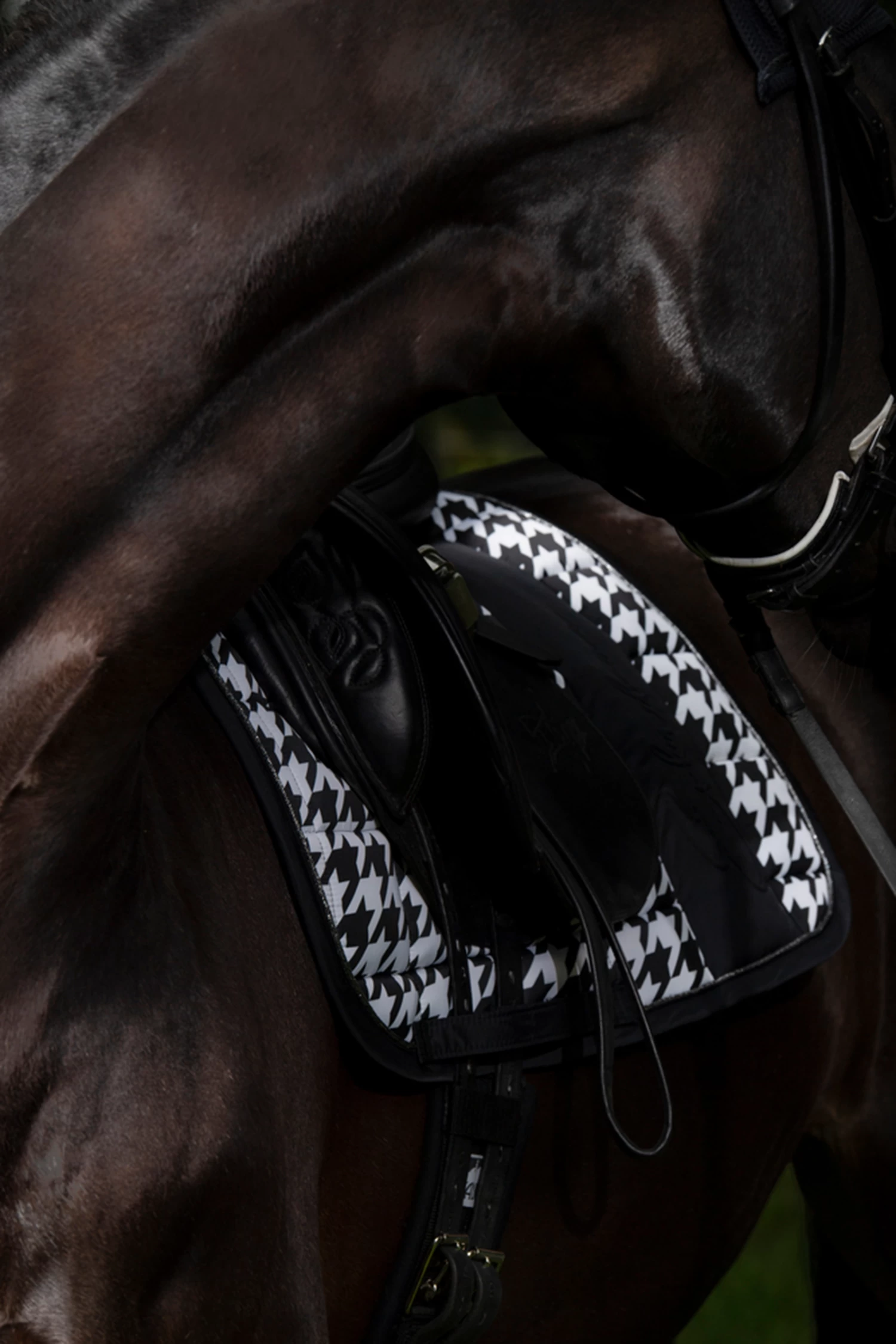 Eskadron Essence 22/23 Big Square Glossy Dressge Saddle Pad 7 Eskadron Essence 22/23 Big Square Glossy Dressge Saddle Pad - Image 5